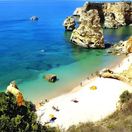 Charming Ocean View Lejlighed